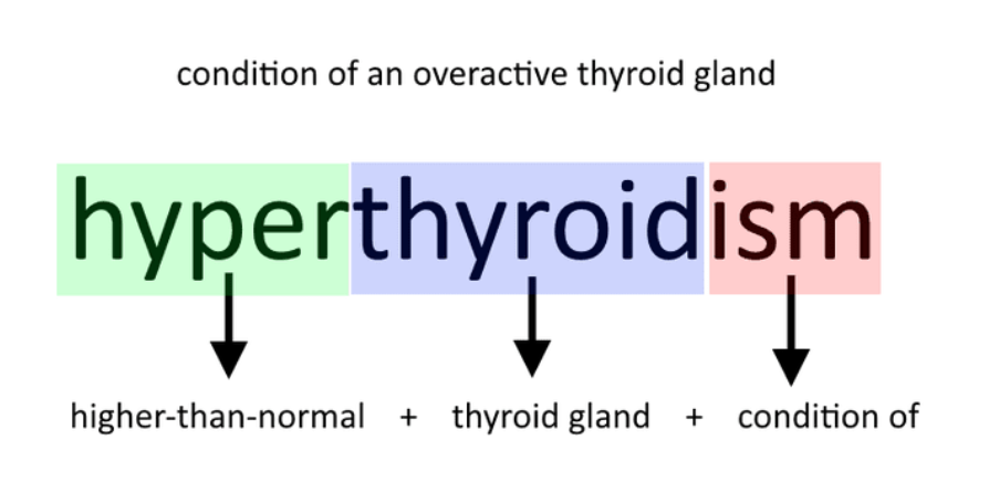 Medical Prefix / Suffix Guide