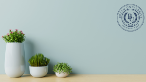 Bright and minimal BU Resource Center featuring potted plants on a light-colored desk, ideal for virtual backgrounds and professional Zoom meetings.