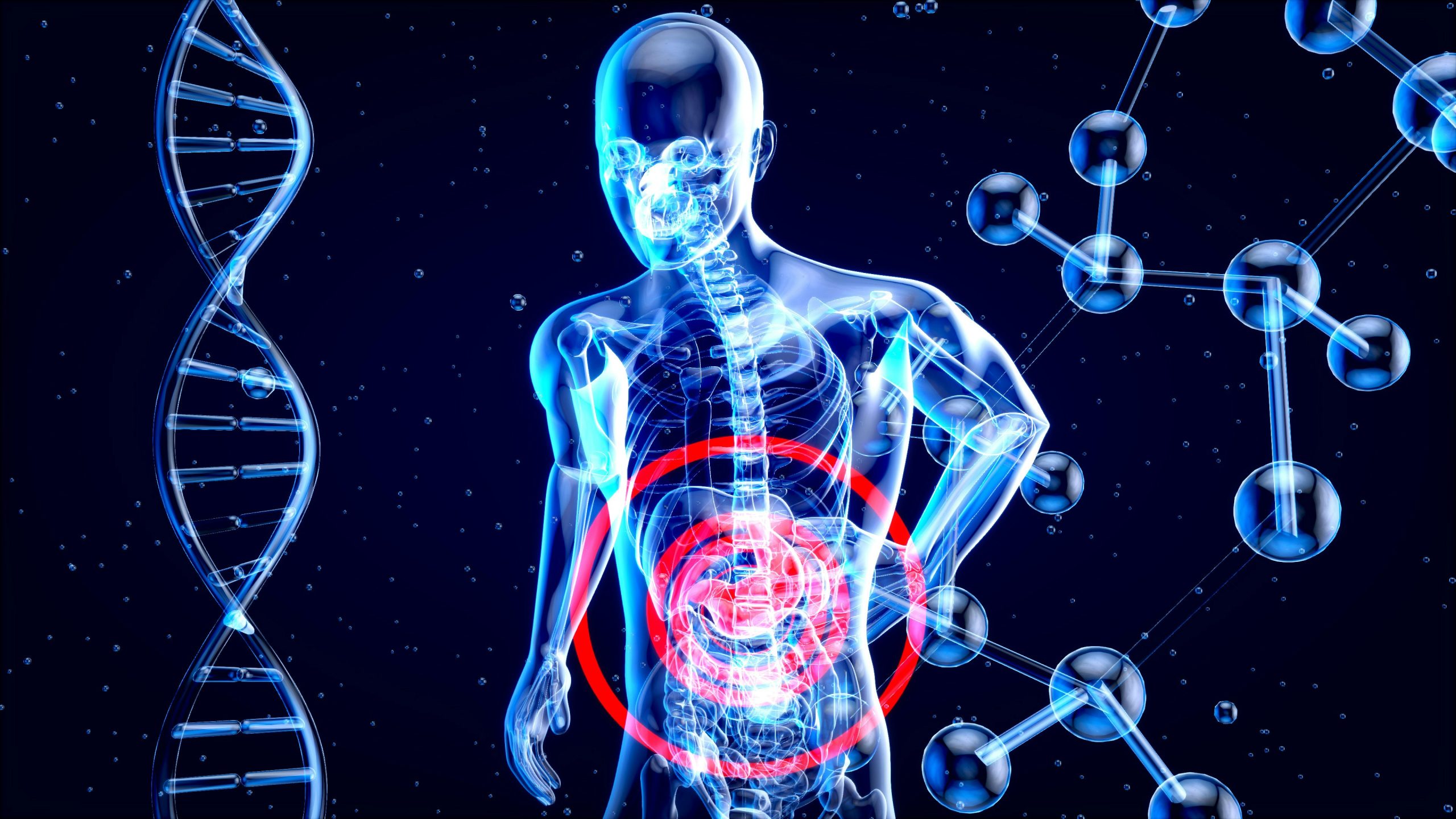 The Human Body